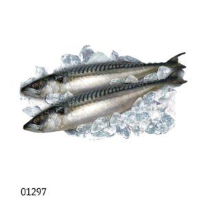Скумбрия, (scomber scombrus), замороженная