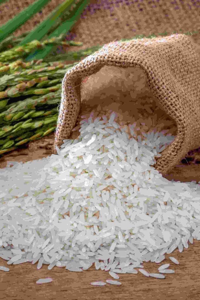 Рис “Жасмин” в Будве