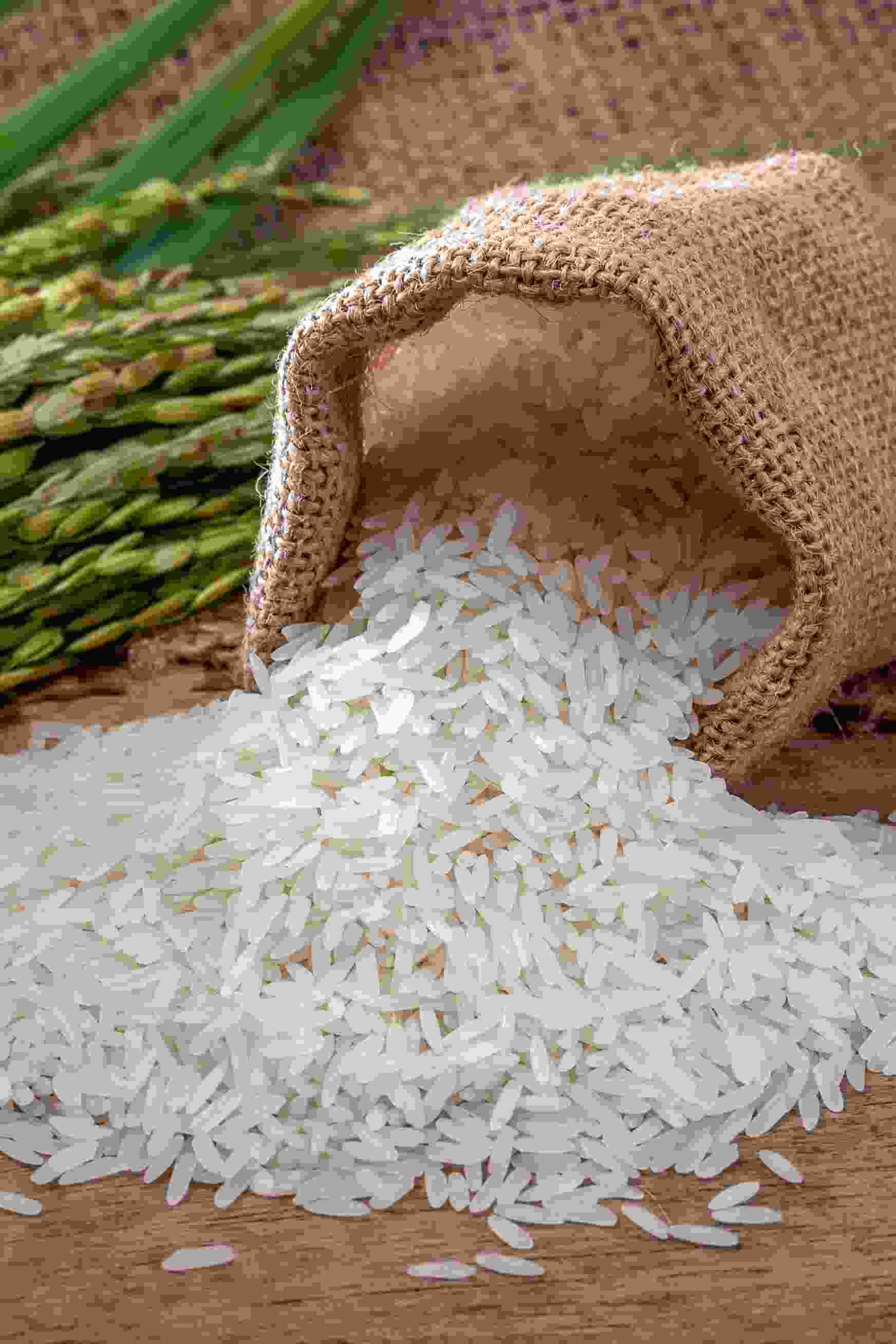 Рис “Жасмин” в Будве